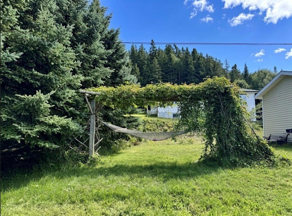 28 COUNTRY ROAD, HODGE'S COVE, Newfoundland, Canada A0E 2A0, ,1 BathroomBathrooms,Residential,For Sale,COUNTRY ROAD,6529