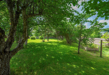 12 NEW ROAD HILL, BAY ROBERTS, Newfoundland, Canada A0A 3V0, ,1 BathroomBathrooms,Residential,For Sale,NEW ROAD HILL,6530 12 NEW ROAD HILL, BAY ROBERTS, Newfoundland, Canada A0A 3V0, ,1 BathroomBathrooms,Residential,For Sale,NEW ROAD HILL,6530
