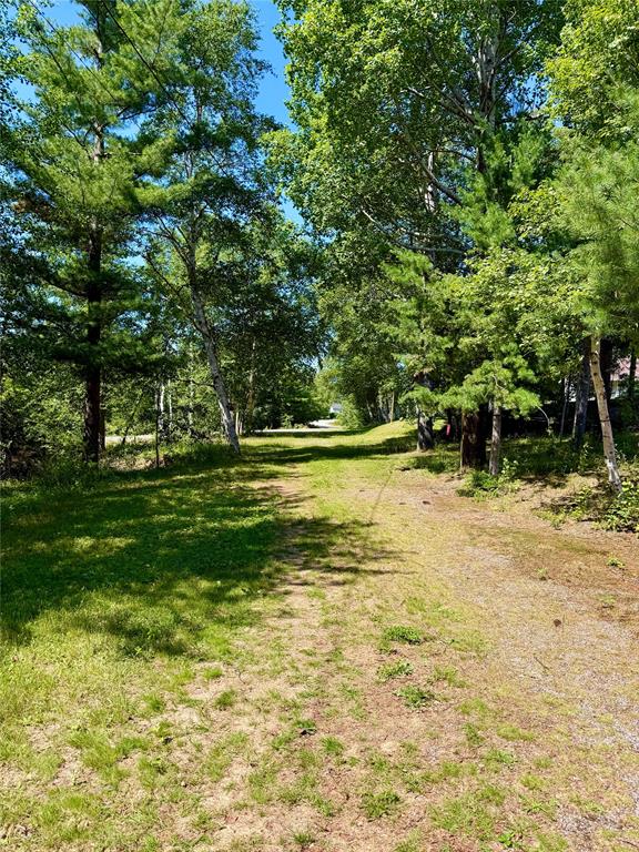 26 LOOP ROAD, TERRA NOVA, Newfoundland, Canada A0C 1L0, ,2 BathroomsBathrooms,Residential,For Sale,LOOP ROAD,6532