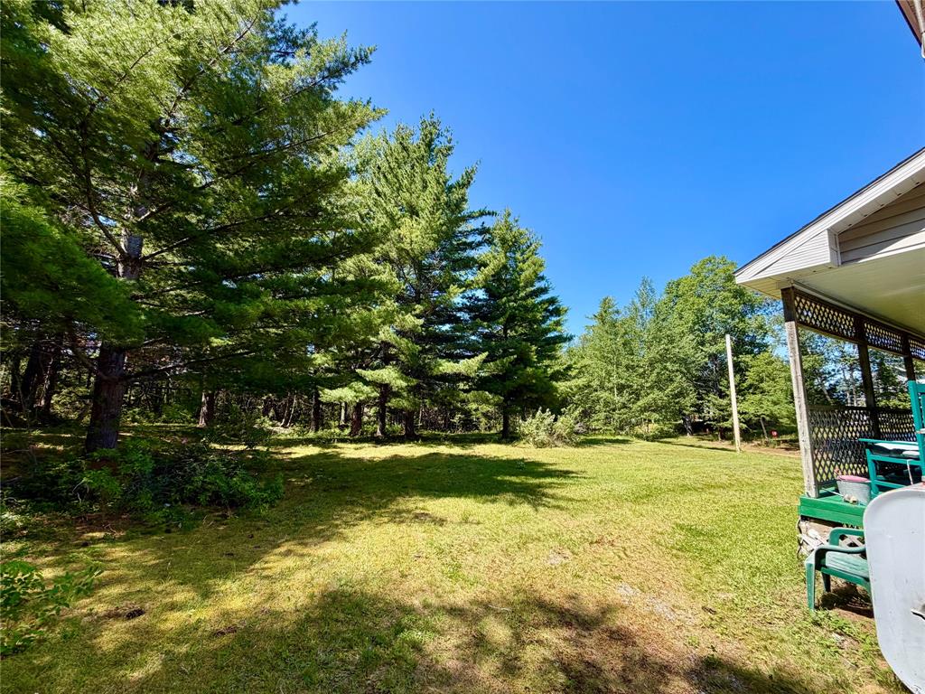 26 LOOP ROAD, TERRA NOVA, Newfoundland, Canada A0C 1L0, ,2 BathroomsBathrooms,Residential,For Sale,LOOP ROAD,6532
