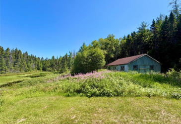 26 LOOP ROAD, TERRA NOVA, Newfoundland, Canada A0C 1L0, ,2 BathroomsBathrooms,Residential,For Sale,LOOP ROAD,6532 26 LOOP ROAD, TERRA NOVA, Newfoundland, Canada A0C 1L0, ,2 BathroomsBathrooms,Residential,For Sale,LOOP ROAD,6532