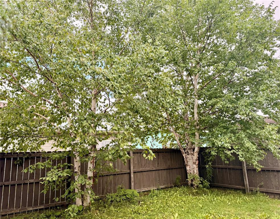 3 SWAN AVENUE, CLARENVILLE, Newfoundland, Canada A5A 1Y1, ,2 BathroomsBathrooms,Residential,For Sale,SWAN AVENUE,6535
