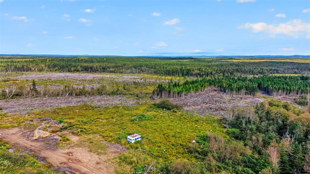 00 GEORGES BROOK ACCESS ROAD, GEORGES BRROK, Newfoundland, Canada A0C 1A0, ,0,Land,For Sale,GEORGES BROOK ACCESS ROAD,6554