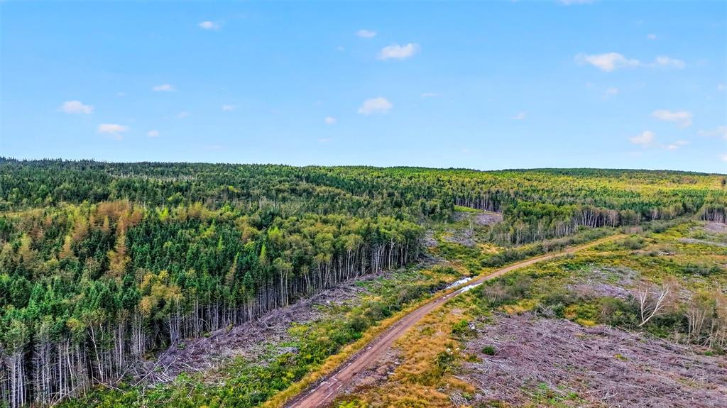 00 GEORGES BROOK ACCESS ROAD, GEORGES BRROK, Newfoundland, Canada A0C 1A0, ,0,Land,For Sale,GEORGES BROOK ACCESS ROAD,6554
