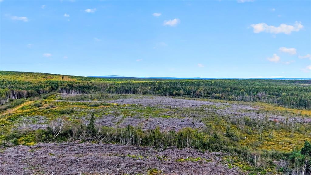 00 GEORGES BROOK ACCESS ROAD, GEORGES BRROK, Newfoundland, Canada A0C 1A0, ,0,Land,For Sale,GEORGES BROOK ACCESS ROAD,6554
