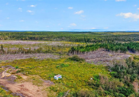 00 GEORGES BROOK ACCESS ROAD, GEORGES BRROK, Newfoundland, Canada A0C 1A0, ,0,Land,For Sale,GEORGES BROOK ACCESS ROAD,6554
