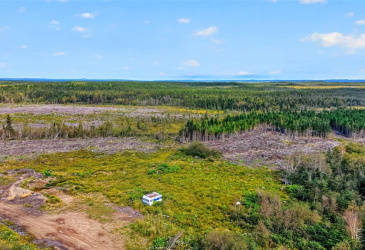 00 GEORGES BROOK ACCESS ROAD, GEORGES BRROK, Newfoundland, Canada A0C 1A0, ,0,Land,For Sale,GEORGES BROOK ACCESS ROAD,6554