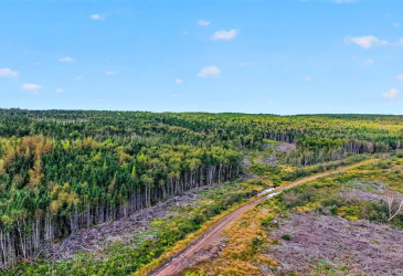 00 GEORGES BROOK ACCESS ROAD, GEORGES BRROK, Newfoundland, Canada A0C 1A0, ,0,Land,For Sale,GEORGES BROOK ACCESS ROAD,6554