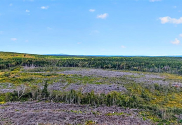 00 GEORGES BROOK ACCESS ROAD, GEORGES BRROK, Newfoundland, Canada A0C 1A0, ,0,Land,For Sale,GEORGES BROOK ACCESS ROAD,6554