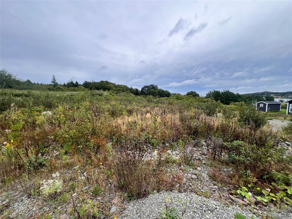 LOT 4 SOUTHSIDE PLACE, BAY ROBERTS, Newfoundland, Canada A0A1X0, ,0,Land,For Sale,SOUTHSIDE PLACE,6557