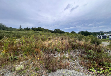 LOT 4 SOUTHSIDE PLACE, BAY ROBERTS, Newfoundland, Canada A0A1X0, ,0,Land,For Sale,SOUTHSIDE PLACE,6557 LOT 4 SOUTHSIDE PLACE, BAY ROBERTS, Newfoundland, Canada A0A1X0, ,0,Land,For Sale,SOUTHSIDE PLACE,6557