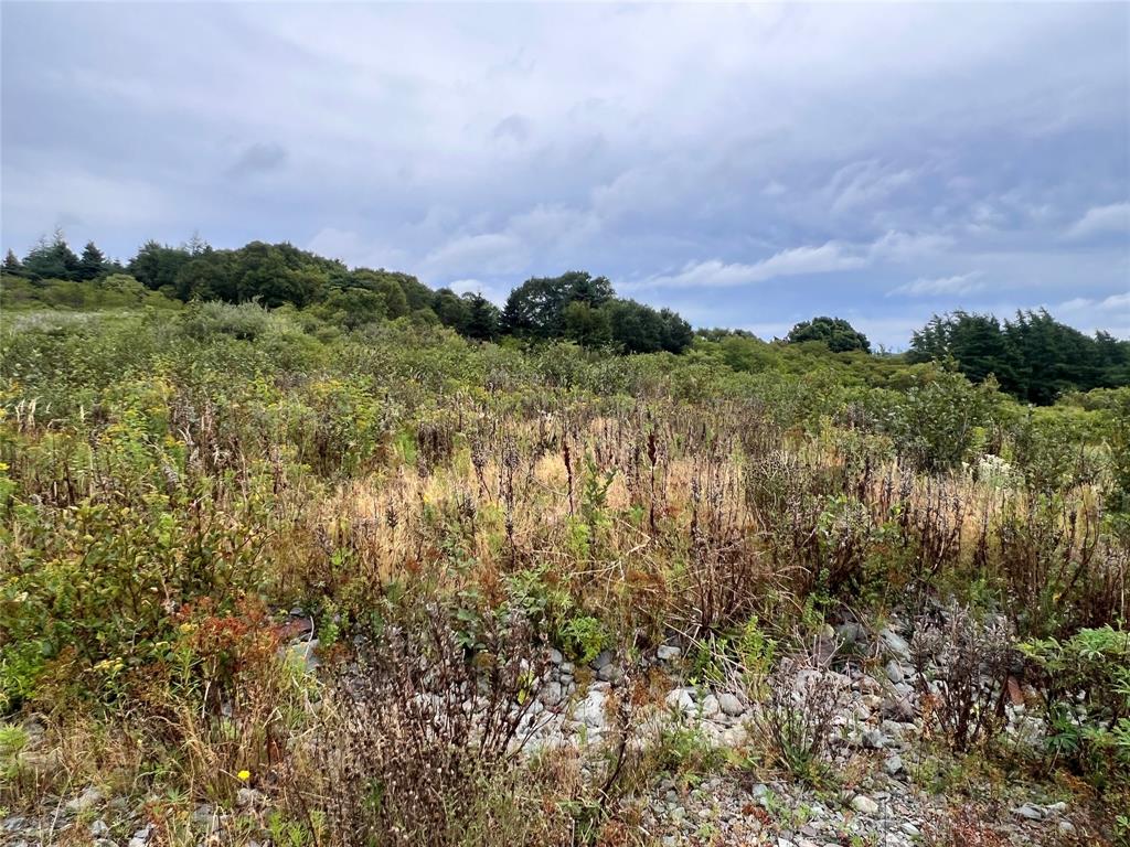 LOT 6 SOUTHSIDE PLACE, BAY ROBERTS, Newfoundland, Canada A0A1X0, ,0,Land,For Sale,SOUTHSIDE PLACE,6558