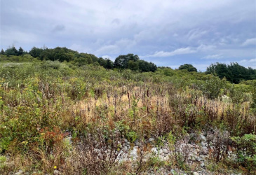 LOT 6 SOUTHSIDE PLACE, BAY ROBERTS, Newfoundland, Canada A0A1X0, ,0,Land,For Sale,SOUTHSIDE PLACE,6558 LOT 6 SOUTHSIDE PLACE, BAY ROBERTS, Newfoundland, Canada A0A1X0, ,0,Land,For Sale,SOUTHSIDE PLACE,6558