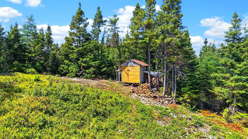 00 BIG POND ROAD, HICKMAN'S HARBOUR, Newfoundland, Canada A0C0B6, ,1 BathroomBathrooms,Residential,For Sale,BIG POND ROAD,6560