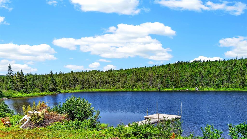 00 BIG POND ROAD, HICKMAN'S HARBOUR, Newfoundland, Canada A0C0B6, ,1 BathroomBathrooms,Residential,For Sale,BIG POND ROAD,6560