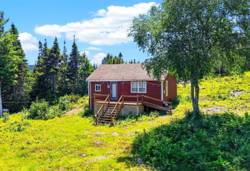 00 BIG POND ROAD, HICKMAN'S HARBOUR, Newfoundland, Canada A0C0B6, ,1 BathroomBathrooms,Residential,For Sale,BIG POND ROAD,6560