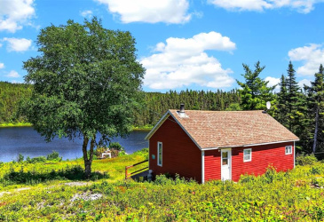00 BIG POND ROAD, HICKMAN'S HARBOUR, Newfoundland, Canada A0C0B6, ,1 BathroomBathrooms,Residential,For Sale,BIG POND ROAD,6560
