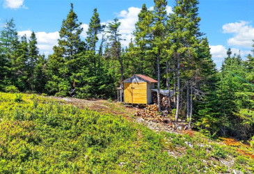 00 BIG POND ROAD, HICKMAN'S HARBOUR, Newfoundland, Canada A0C0B6, ,1 BathroomBathrooms,Residential,For Sale,BIG POND ROAD,6560