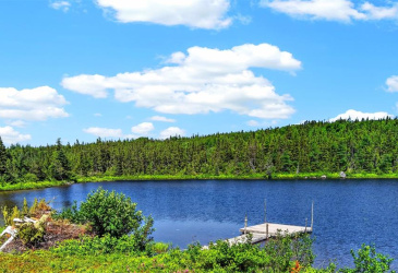 00 BIG POND ROAD, HICKMAN'S HARBOUR, Newfoundland, Canada A0C0B6, ,1 BathroomBathrooms,Residential,For Sale,BIG POND ROAD,6560