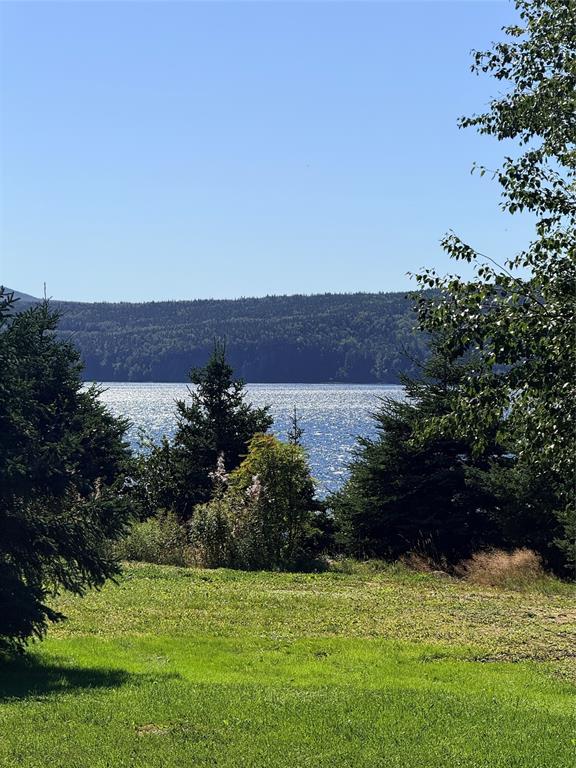 792 RANDOM ISLAND ROAD, ELLIOTT'S COVE, Newfoundland, Canada A5A 3A1, ,1 BathroomBathrooms,Residential,For Sale,RANDOM ISLAND ROAD,6562