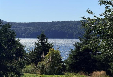 792 RANDOM ISLAND ROAD, ELLIOTT'S COVE, Newfoundland, Canada A5A 3A1, ,1 BathroomBathrooms,Residential,For Sale,RANDOM ISLAND ROAD,6562