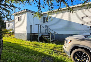 49 MAYOR AVENUE, ST. LAWRENCE, Newfoundland, Canada A0E2V0, ,1 BathroomBathrooms,Residential,Sale Pending,MAYOR AVENUE,6563