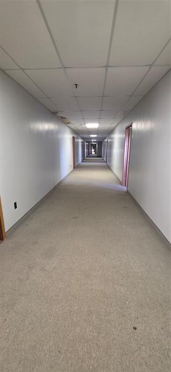 135-161 MAIN STREET, BURIN, Newfoundland, Canada A0E1E0, ,0,Commercial,For Sale,MAIN STREET,6566