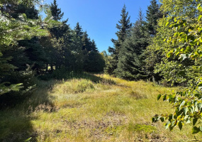0 MAIN ROAD, QUEEN'S COVE, Newfoundland, Canada A0E 2P0, ,0,Land,For Sale,MAIN ROAD,6571