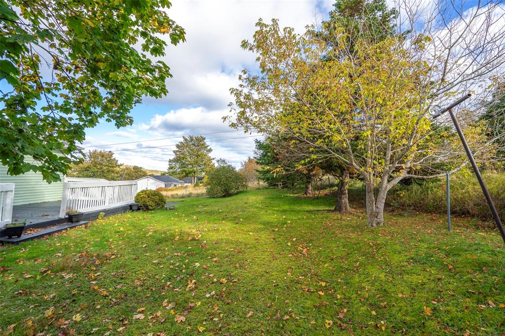 7 PONDSIDE, CARBONEAR, Newfoundland, Canada A1Y1C5, ,1 BathroomBathrooms,Residential,For Sale,PONDSIDE,6585